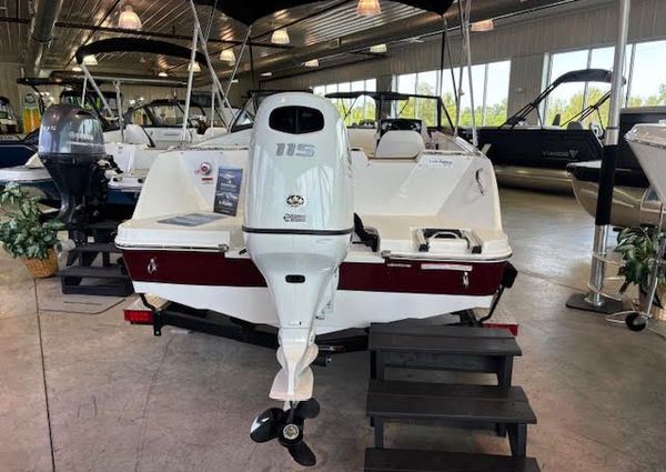 Stingray 172DC image