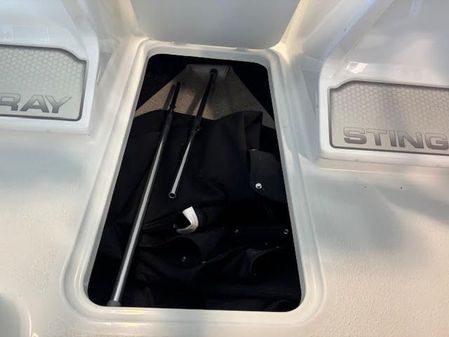 Stingray 172DC image