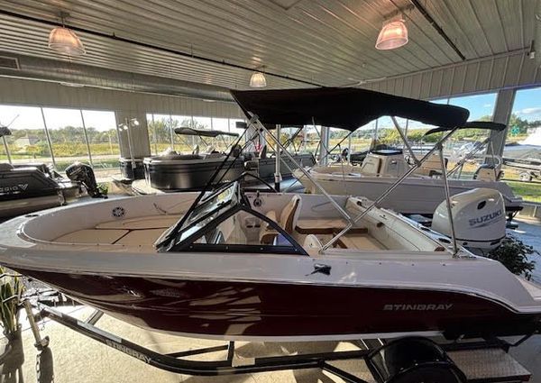 Stingray 172DC image