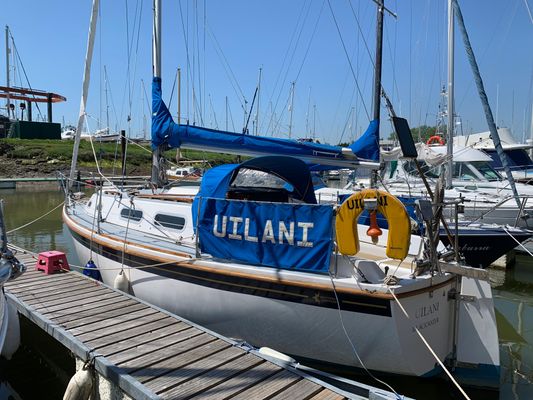 Westerly Griffon - main image