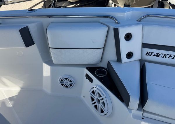 Blackfin 252-CC image