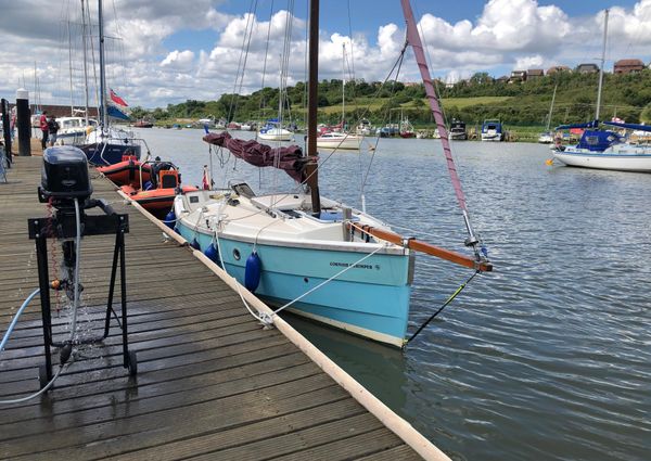 Cornish-crabbers SHRIMPER-19 image