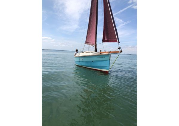 Cornish-crabbers SHRIMPER-19 image