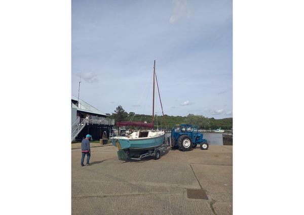 Cornish-crabbers SHRIMPER-19 image