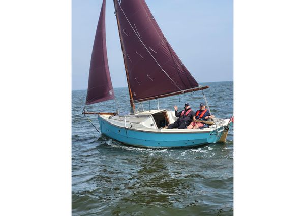 Cornish-crabbers SHRIMPER-19 image