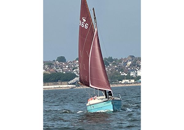 Cornish-crabbers SHRIMPER-19 image