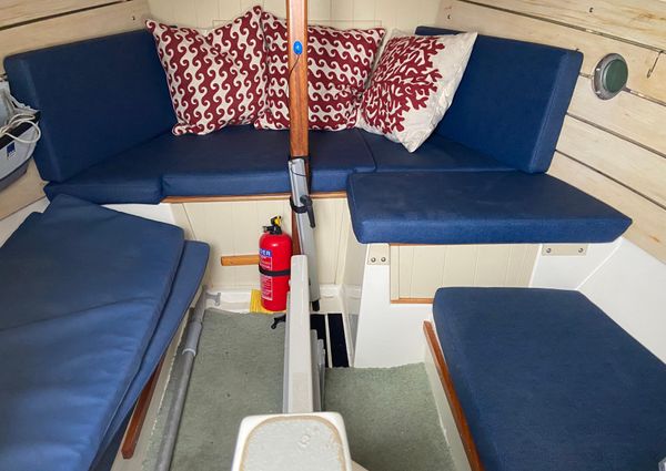 Cornish-crabbers SHRIMPER-19 image