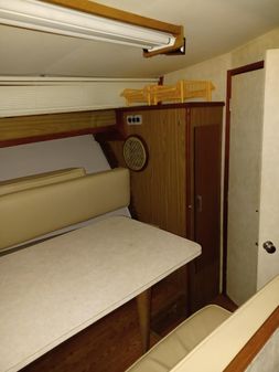 Pacemaker 38-AFT-CABIN image