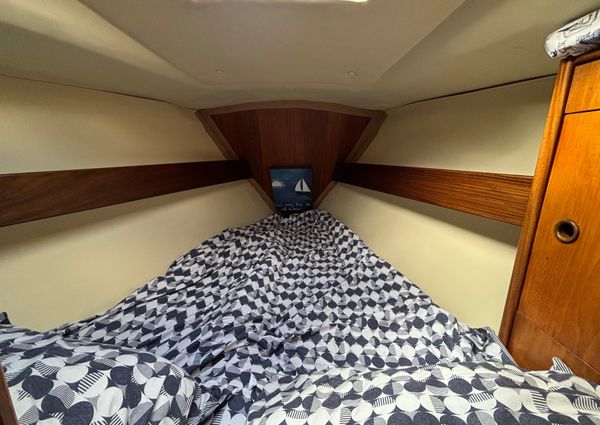 Beneteau FIRST-325 image