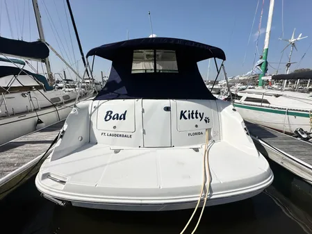Sea Ray 380 Sundancer image