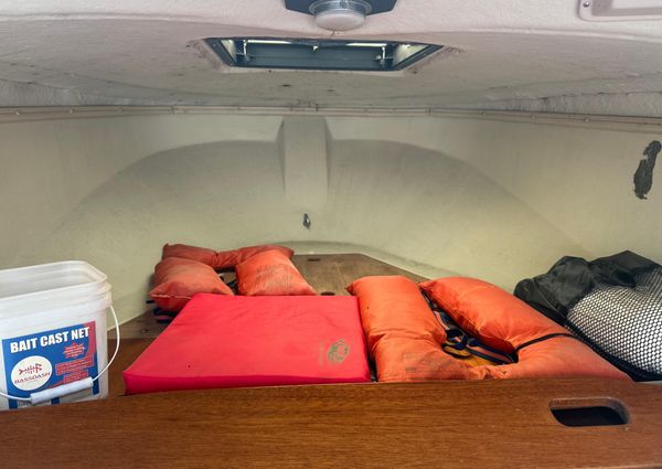 Boston-whaler REVENGE-20 image