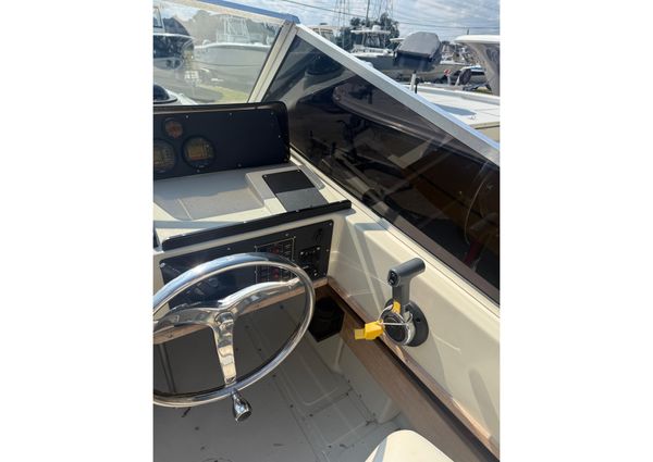 Boston-whaler REVENGE-20 image