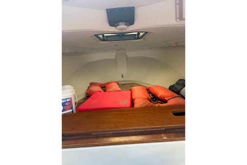 Boston-whaler REVENGE-20 image