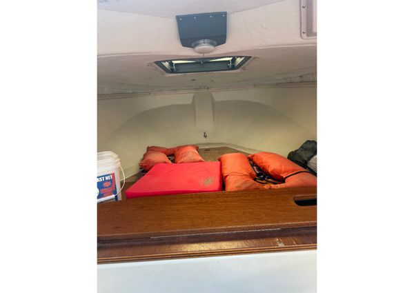 Boston-whaler REVENGE-20 image