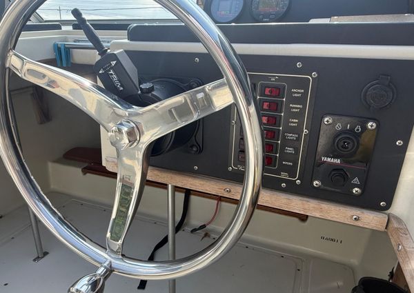 Boston-whaler REVENGE-20 image