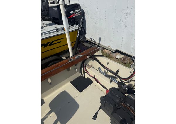 Boston-whaler REVENGE-20 image