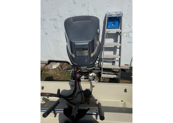 Boston-whaler REVENGE-20 image