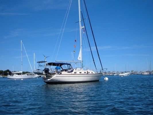 Island Packet 370 - main image