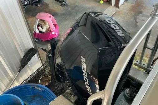 Sun Tracker SportFish 22 DLX image