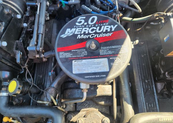 Sea-ray 205-SPORT image