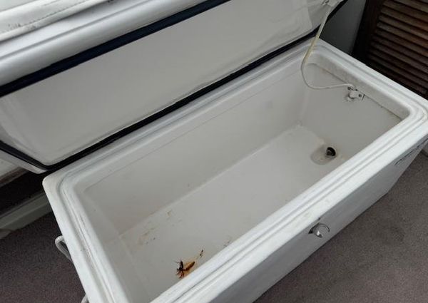 Boston-whaler 21-OUTRAGE image