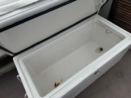 Boston-whaler 21-OUTRAGE image