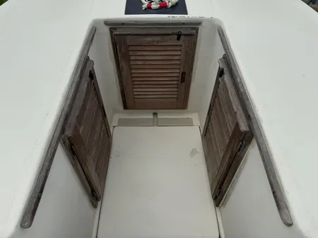 Boston-whaler 21-OUTRAGE image