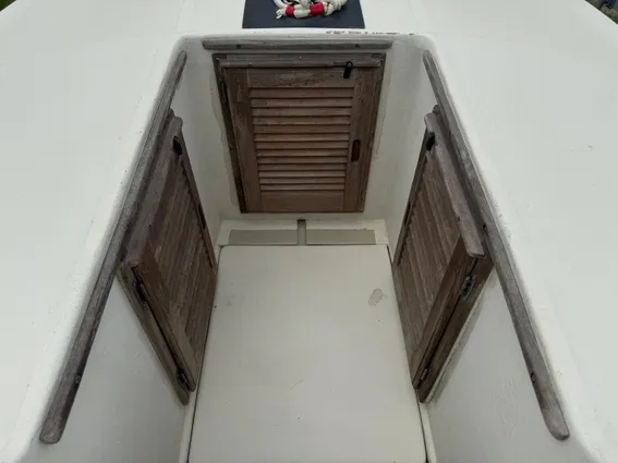 Boston-whaler 21-OUTRAGE image