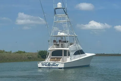 Viking 55 Convertible image