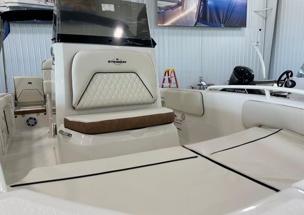 Stingray 173-CENTER-CONSOLE image