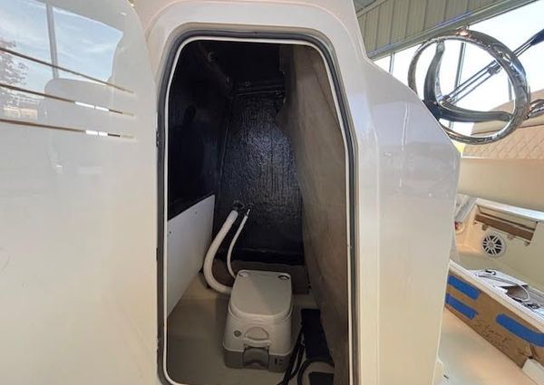 Stingray 173CC image