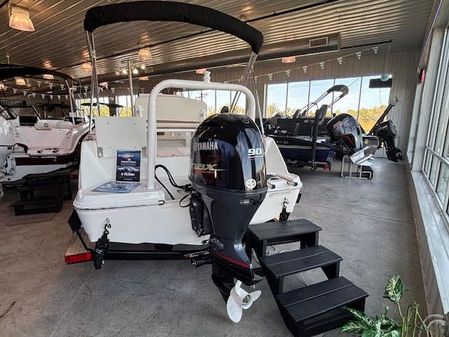 Stingray 173CC image