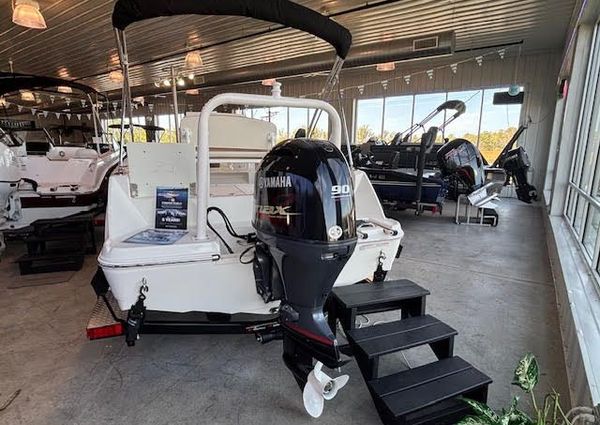 Stingray 173CC image