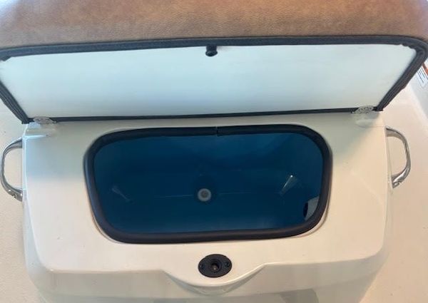 Stingray 173CC image