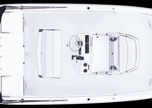 Stingray 173CC image