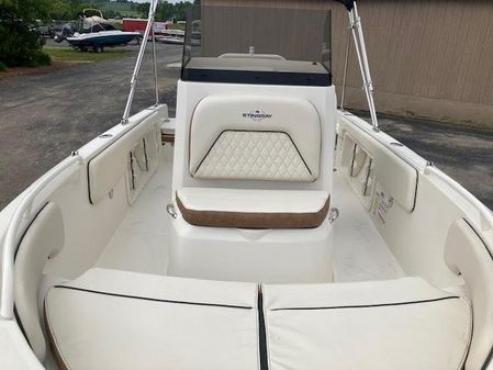 Stingray 173CC image