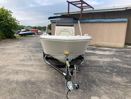 Stingray 173CC image