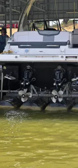 Chaparral 317 SSX image