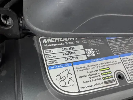 Chaparral 317 SSX image