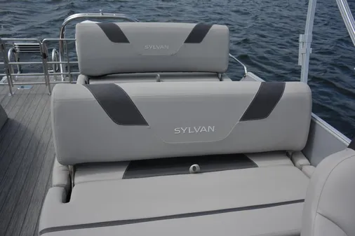 Sylvan L3-DLZ image