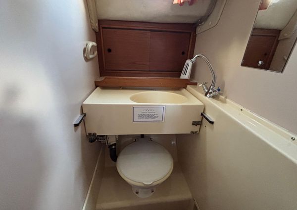 Westerly KONSORT image