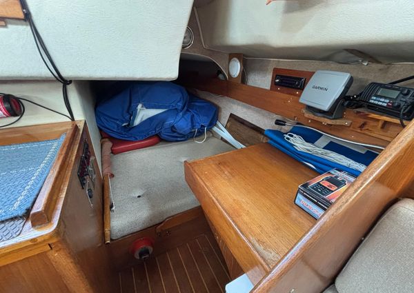 Westerly KONSORT image