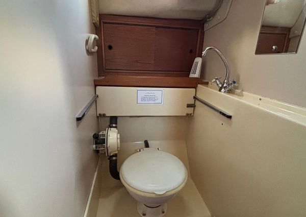 Westerly KONSORT image