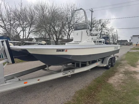 Catalyst 260 Catamaran 