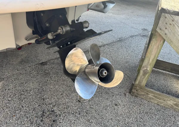 Sea-ray 240-SUNDECK image