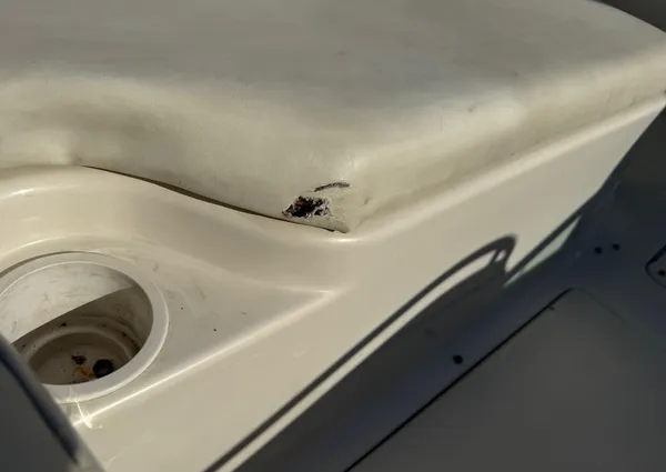 Sea-ray 240-SUNDECK image