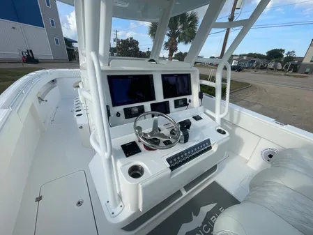 Invincible 33 CAT image