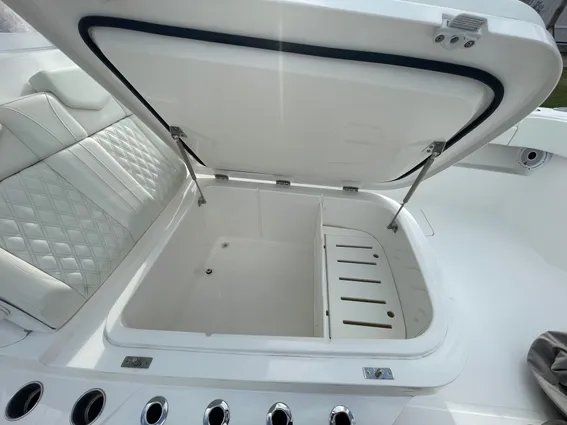 Invincible 33 CAT image