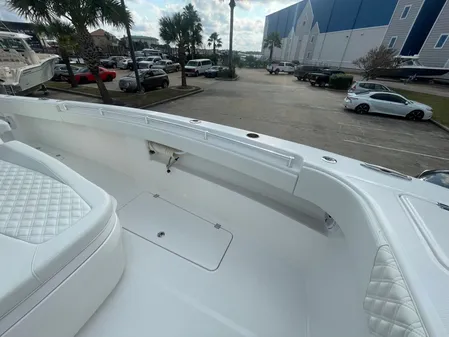 Invincible 33 CAT image