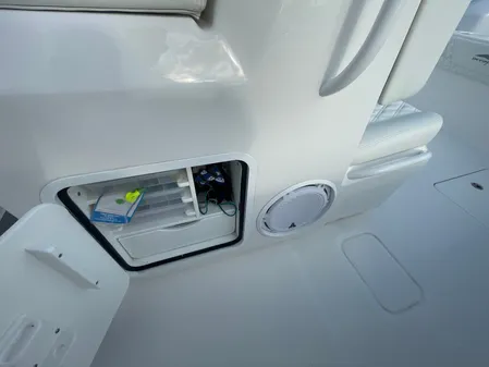 Invincible 33 CAT image